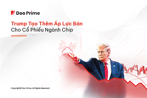 HQ - Trump Chip Stock Cover